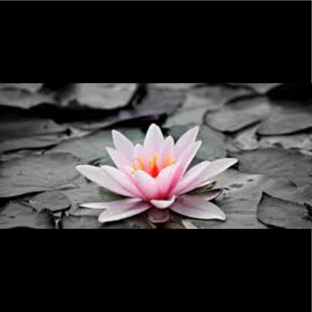 Meet your Posher, Nand